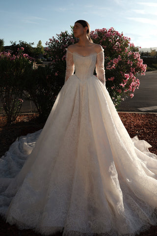 Lace Basque Waist Ball Gown Eilonwy