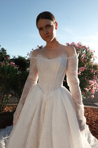 Lace Basque Waist Ball Gown Eilonwy