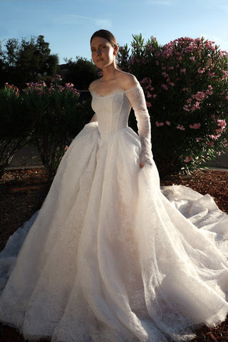 Lace Basque Waist Ball Gown Eilonwy