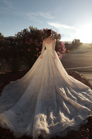 Lace Basque Waist Ball Gown Eilonwy