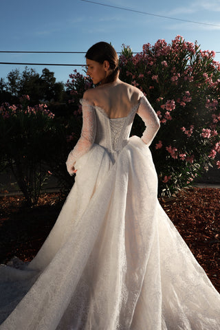 Lace Basque Waist Ball Gown Eilonwy