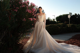 Lace Basque Waist Ball Gown Eilonwy