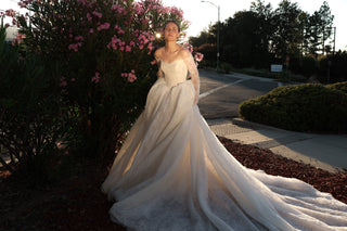 Lace Basque Waist Ball Gown Eilonwy