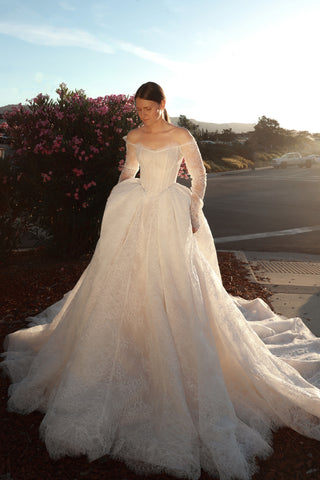 Lace Basque Waist Ball Gown Eilonwy