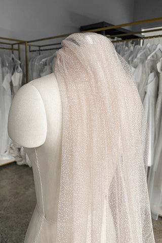 Blush Sparkly Wedding Veil