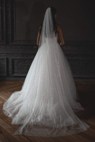 Super Sparkly Wedding Veil